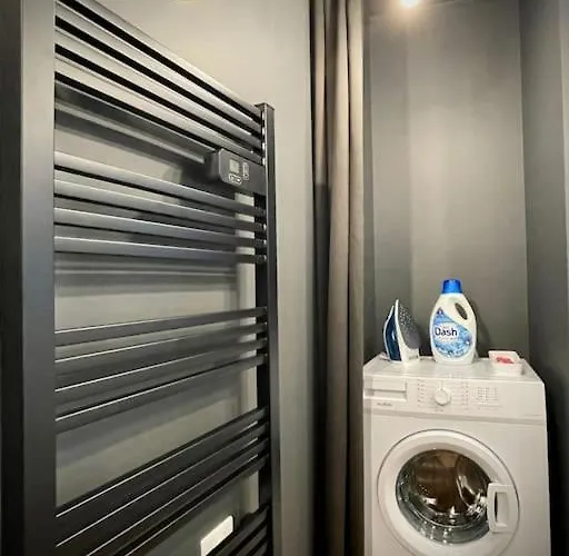 Grand Confortable Situe En Centre