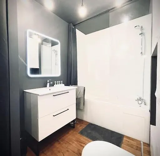 Grand Confortable Situe En Centre ジェラールメ